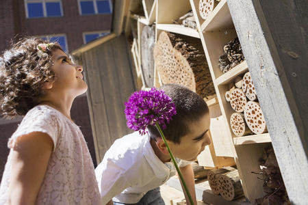 Odla staden - barn tittar på insektshotell. Foto: Martin Stenmark