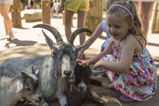 Foto: Kolmården/Rickard Monéus