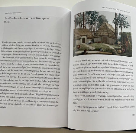 Uppslag ur boken "Den flygande legenden".